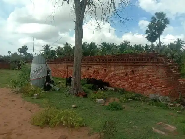 Arulmigu Mahilavaneshwarar Temple, Tokkalikkadu - 614701 அருள்மிகு மகிழவனேஸ்வரர் சுவாமி திருக்கோயில், Tokkalikkadu - 614701, Thanjavur - Ancient Temple Architecture and History Image 6