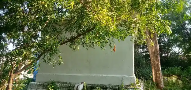 Arulmigu Mailalingaswamy Temple, Chinnakampalayam - 638656 அருள்மிகு மைலாலிங்கசாமி திருக்கோயில், Chinnakampalayam - 638656, Tiruppur - Ancient Temple Architecture and History Image 3