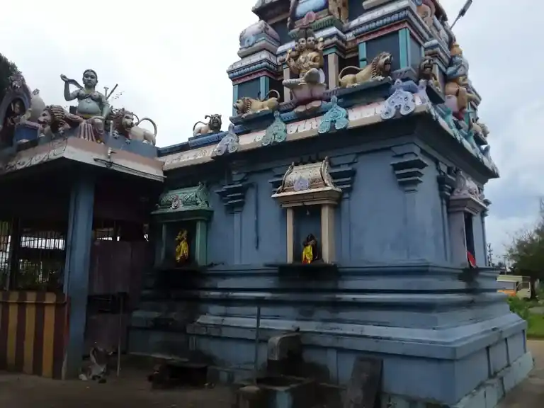 Arulmigu Mailiyamman Temple, Kaaranai Puducheri - 603202 அருள்மிகு மையிலியம்மன் திருக்கோயில், காரணப்புதுச்சேரி - 603202, Chengalpattu - Ancient Temple Architecture and History Image 2