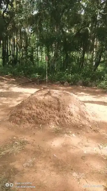 Arulmigu Maipathaswamy Temple, Sallakulam - 625218 அருள்மிகு மெய்பாதசாமி திருக்கோயில், Sallakulam - 625218, Madurai - Ancient Temple Architecture and History Image 2