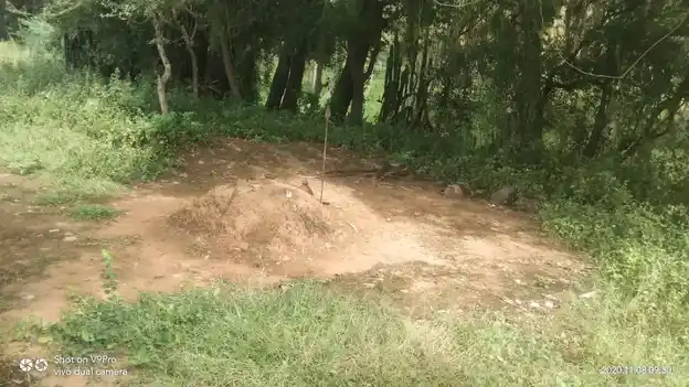 Arulmigu Maipathaswamy Temple, Sallakulam - 625218 அருள்மிகு மெய்பாதசாமி திருக்கோயில், Sallakulam - 625218, Madurai - Ancient Temple Architecture and History Image 5