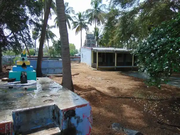 Arulmigu Makaliamman Temple, Chinnaripalayam - 641654 அருள்மிகு மாகாளியம்மன் திருக்கோயில், Chinnaripalayam - 641654, Tiruppur - Ancient Temple Architecture and History Image 2