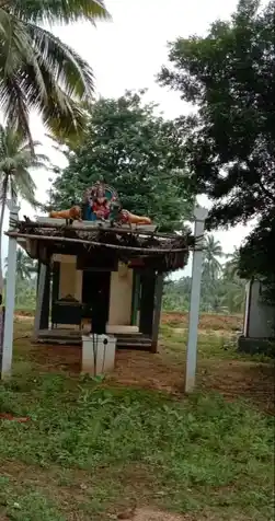 Arulmigu Malai Pidari Amman Temple, Amaravathi Nagar, Amaravathi Nagar - 642102