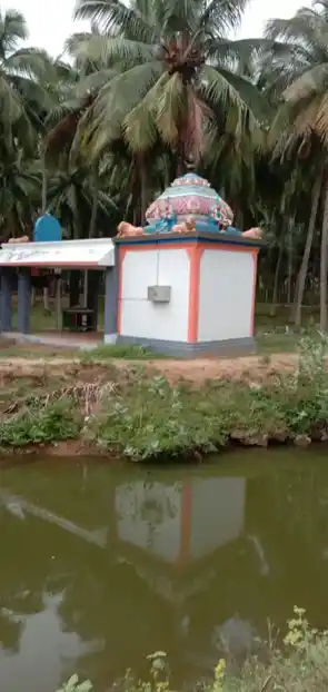 Arulmigu Malai Pidari Amman Temple, Amaravathi Nagar, Amaravathi Nagar - 642102 அருள்மிகு மலைப்பிடாரியம்மன் திருக்கோயில், Amaravathi Nagar, Amaravathi Nagar - 642102, Tiruppur - Ancient Temple Architecture and History Image 3