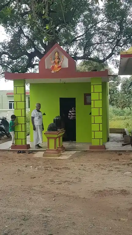 Arulmigu Malaiamman Temple, Chinna Kammiampattu - 635851 அருள்மிகு மாலையம்மன் திருக்கோயில், சின்ன கம்மியம்பட்டு - 635851, Thirupathur - Ancient Temple Architecture and History Image 3