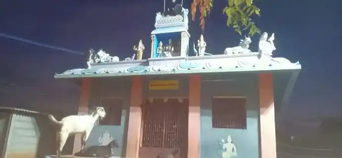 Arulmigu Malaikatha Ayyanar Temple, Ponvilaithanpatti - 613602 அருள்மிகு மழைக்காத்தஅய்யனார் திருக்கோயில், Ponvilaithanpatti - 613602, Thanjavur - Ancient Temple Architecture and History Image 3