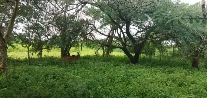 Arulmigu Malaikkoil, Eranyamangalam - 639107