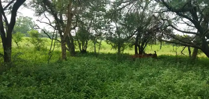 Arulmigu Malaikkoil, Eranyamangalam - 639107 அருள்மிகு மாலைக்கோயில், இரண்யமங்கலம், குளித்தலை, கரூர். கோயில், Eranyamangalam - 639107, Karur - Ancient Temple Architecture and History Image 3