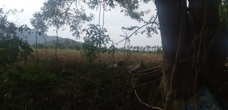 Arulmigu Malaikovil, Pannaipatti - 624705 Arulmigu Malaikovil, Pannaipatti - 624705, Dindigul - Ancient Temple Architecture and History Image 6
