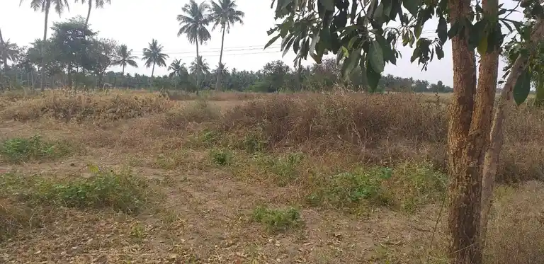 Arulmigu Malaikovil, Pannaipatti - 624705 Arulmigu Malaikovil, Pannaipatti - 624705, Dindigul - Ancient Temple Architecture and History Image 8