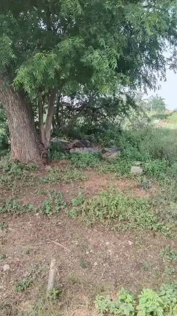 Arulmigu Malaikovil, Thennampatti - 624802