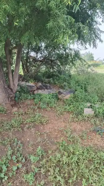 Arulmigu Malaikovil, Thennampatti - 624802 அருள்மிகு மலைக்கோயில்-தென்னம்பட்டி, வேடசந்தூர், திண்டுக்கல். கோயில், Thennampatti - 624802, Dindigul - Ancient Temple Architecture and History Image 2