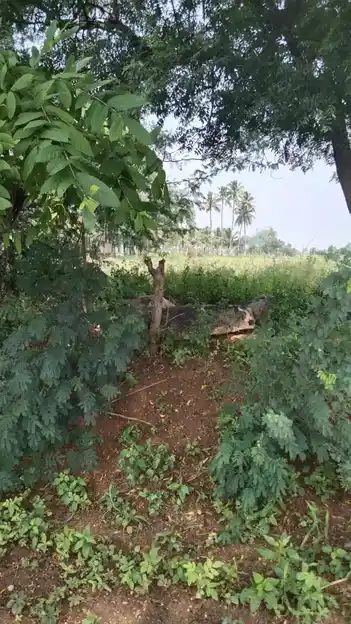 Arulmigu Malaikovil, Thennampatti - 624802 அருள்மிகு மலைக்கோயில்-தென்னம்பட்டி, வேடசந்தூர், திண்டுக்கல். கோயில், Thennampatti - 624802, Dindigul - Ancient Temple Architecture and History Image 3