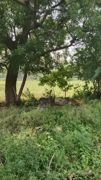 Arulmigu Malaikovil, Thennampatti - 624802 அருள்மிகு மலைக்கோயில்-தென்னம்பட்டி, வேடசந்தூர், திண்டுக்கல். கோயில், Thennampatti - 624802, Dindigul - Ancient Temple Architecture and History Image 4