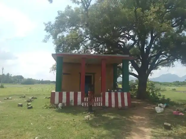 Arulmigu Malainachiyamman Temple, V.Puthur - 630410 அருள்மிகு. மலை நாச்சியம்மன் திருக்கோயில், V.Puthur - 630410, Sivagangai - Ancient Temple Architecture and History Image 5