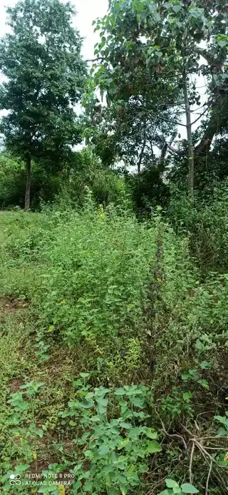 Arulmigu Malaiyandiswamy Temple, Thehour - 621311
