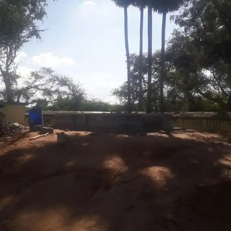 Arulmigu Malaiyathamman Temple, Pilaviduthi - 622302 அருள்மிகு மலையாத்தம்மன் திருக்கோயில், Pilaviduthi - 622302, Pudukkottai - Ancient Temple Architecture and History Image 3