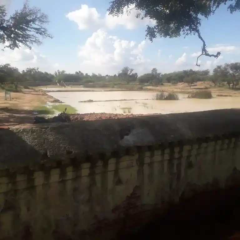 Arulmigu Malaiyathamman Temple, Pilaviduthi - 622302 அருள்மிகு மலையாத்தம்மன் திருக்கோயில், Pilaviduthi - 622302, Pudukkottai - Ancient Temple Architecture and History Image 4