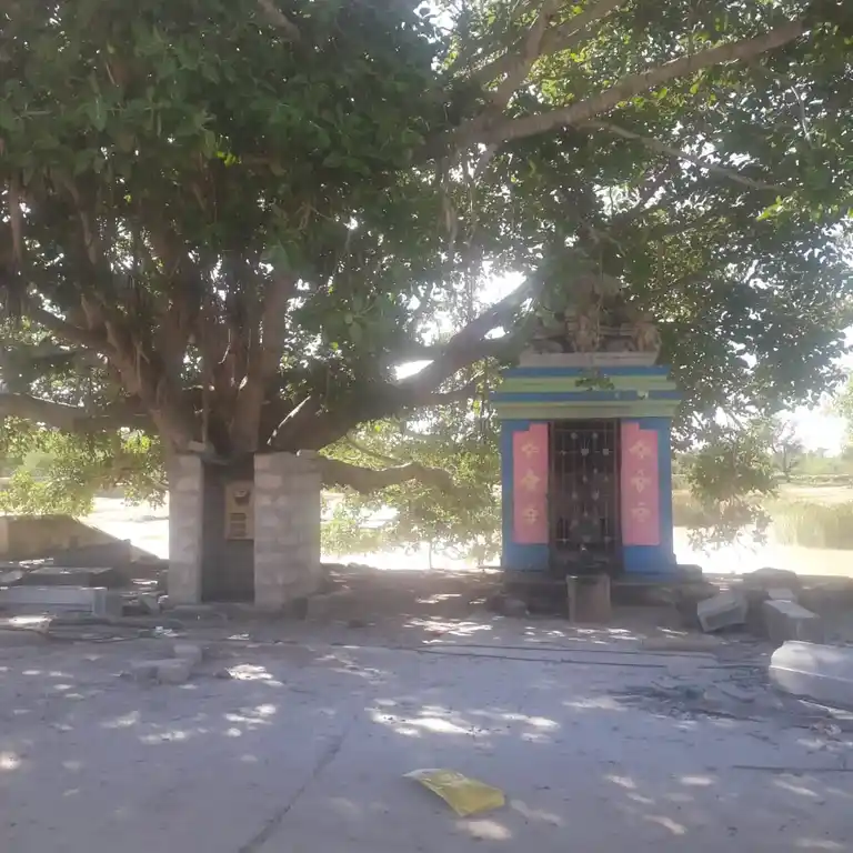 Arulmigu Malaiyathamman Temple, Pilaviduthi - 622302 அருள்மிகு மலையாத்தம்மன் திருக்கோயில், Pilaviduthi - 622302, Pudukkottai - Ancient Temple Architecture and History Image 6