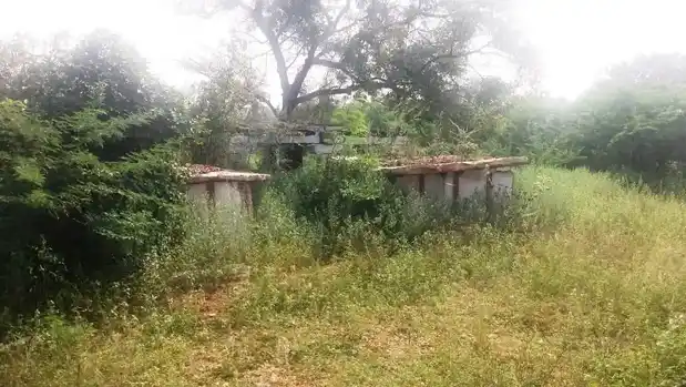 Arulmigu Malakovil, Nandhakattuvalasu, Nandhakattuvalasu - 638052 அருள்மிகு மாலாக்கோயில், நத்தக்காட்டுவலசு, சிங்காநல்லூர், பெருந்துறை கோயில், நத்தக்காட்டுவலசு, Nandhakattuvalasu - 638052, Erode - Ancient Temple Architecture and History Image 2