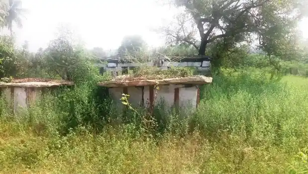 Arulmigu Malakovil, Nandhakattuvalasu, Nandhakattuvalasu - 638052 அருள்மிகு மாலாக்கோயில், நத்தக்காட்டுவலசு, சிங்காநல்லூர், பெருந்துறை கோயில், நத்தக்காட்டுவலசு, Nandhakattuvalasu - 638052, Erode - Ancient Temple Architecture and History Image 3