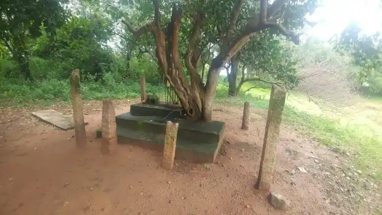 Arulmigu Malampatti Ayyanar Temple, Ayyapatti - 625103 அருள்மிகு மலம்பட்டி அய்யனார் கோயில், Ayyapatti - 625103, Madurai - Ancient Temple Architecture and History Image 3