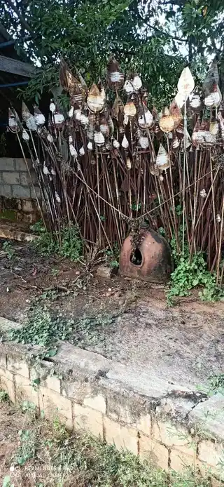 Arulmigu Malampatti Velmurugan Vinayagar Temple, Ekkarai Kosukurichi, Ekkarai Kosukurichi - 621311 Arulmigu Malampatti velmurugan Vinayagar Temple, Ekkarai Kosukurichi, Ekkarai Kosukurichi - 621311, Thiruchirappalli - Ancient Temple Architecture and History Image 3