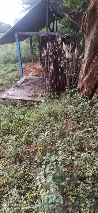 Arulmigu Malampatti Velmurugan Vinayagar Temple, Ekkarai Kosukurichi, Ekkarai Kosukurichi - 621311 Arulmigu Malampatti velmurugan Vinayagar Temple, Ekkarai Kosukurichi, Ekkarai Kosukurichi - 621311, Thiruchirappalli - Ancient Temple Architecture and History Image 4