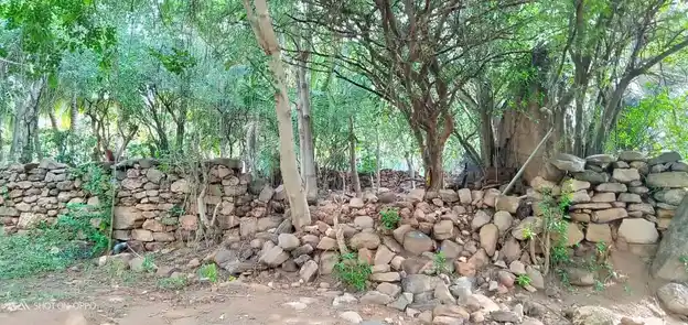 Arulmigu Malapalli Karupanaswamy Temple, Manakkadvu - 644690 அருள்மிகு மேலப்பள்ளி கருப்பண்ணசாமி திருக்கோயில், மணக்கடவு - 644690, Tiruppur - Ancient Temple Architecture and History Image 2