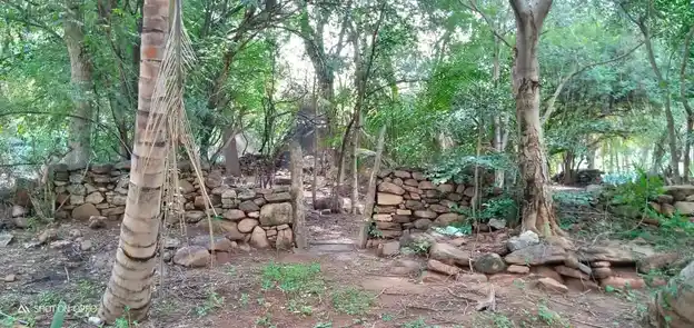 Arulmigu Malapalli Karupanaswamy Temple, Manakkadvu - 644690 அருள்மிகு மேலப்பள்ளி கருப்பண்ணசாமி திருக்கோயில், மணக்கடவு - 644690, Tiruppur - Ancient Temple Architecture and History Image 3