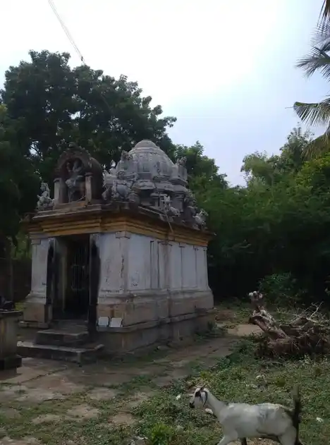 Arulmigu Malapillayar Swamy Temple, Arasavanakadu - 612603