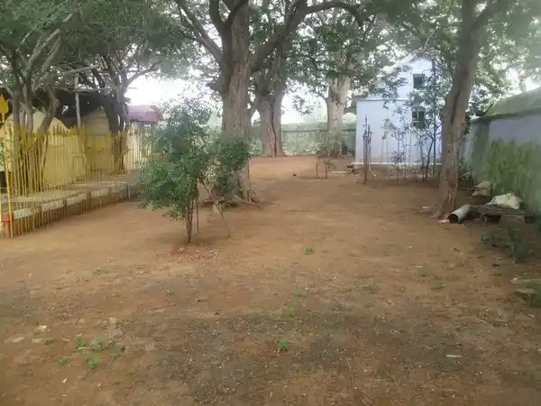 Arulmigu Malayala Thannasi Karuppana Samy Temple, Pattuthurai, Dharapuram - 638106