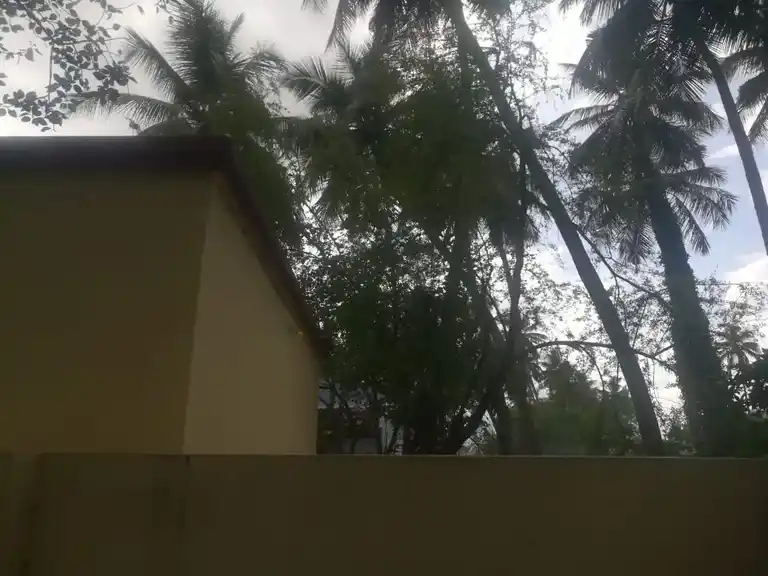 Arulmigu Malayampalayam Vinayagar Temple, Malayampalayam, Avadathur - 636501