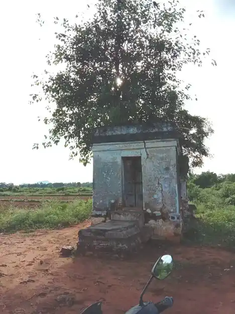 Arulmigu Mallandeshwarar Temple, Natham - 624404 அருள்மிகு மல்லாண்டேஸ்வரர் திருக்கோயில், நத்தம் - 624404, Dindigul - Ancient Temple Architecture and History Image 6