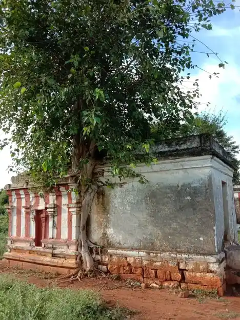 Arulmigu Mallandeshwarar Temple, Natham - 624404 அருள்மிகு மல்லாண்டேஸ்வரர் திருக்கோயில், நத்தம் - 624404, Dindigul - Ancient Temple Architecture and History Image 9