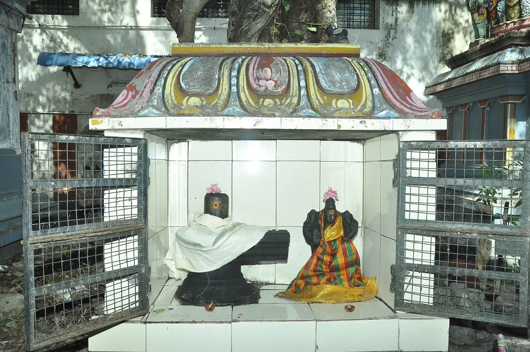 Arulmigu Malleeswarar Temple, Mylapore, Chennai - 600004 அருள்மிகு மல்லீஸ்வரர் திருக்கோயில், மயிலாப்பூர், சென்னை - 600004, Chennai - Ancient Temple Architecture and History Image 6