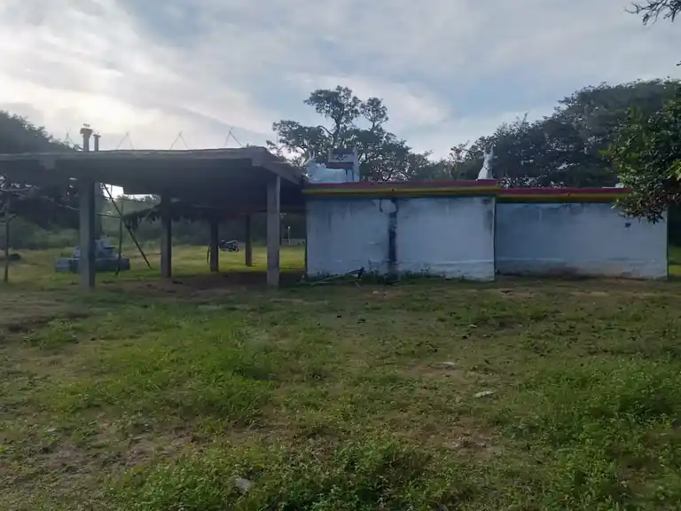 Arulmigu Malleyswaraswamy Temple, Naralapalli, Eakkal Natham - 635120 அருள்மிகு மல்லேஸ்வர சுவாமி திருக்கோயில், Naralapalli, Eakkal Natham - 635120, Krishnagiri - Ancient Temple Architecture and History Image 4