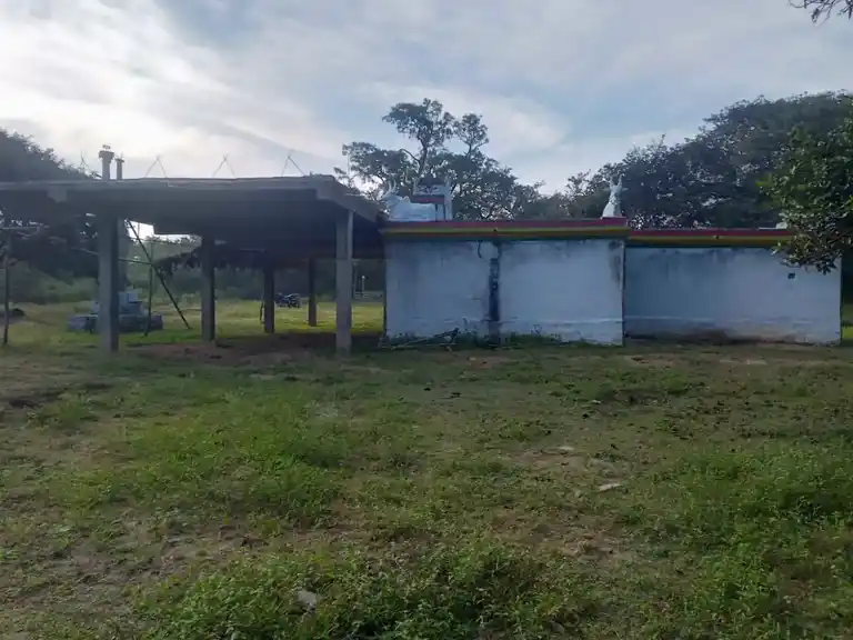 Arulmigu Malleyswaraswamy Temple, Naralapalli, Eakkal Natham - 635120 அருள்மிகு மல்லேஸ்வர சுவாமி திருக்கோயில், Naralapalli, Eakkal Natham - 635120, Krishnagiri - Ancient Temple Architecture and History Image 5