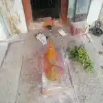 Arulmigu Mallieeswarar Temple, Madanancheri - 635754 அருள்மிகு மல்லீஸ்வரர் திருக்கோயில், மதனாஞ்சேரி - 635754, Thirupathur - Ancient Temple Architecture and History Image 5