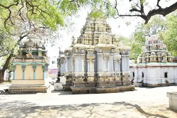 Arulmigu Malligarjuna Swamy Paravasudeva Swamy Temple, Dharmapuri - 636701 அருள்மிகு மல்லிகார்ஜுனர் மற்றும் பரவாசுதேவர் திருக்கோயில், Dharmapuri - 636701, Dharmapuri - Ancient Temple Architecture and History Image 5
