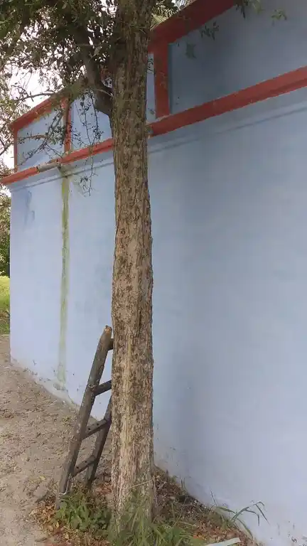 Arulmigu Malligarjuna Swamy Temple, Elagiri - 636807 அருள்மிகு மல்லிகார்ஜினசாமி திருக்கோயில், Elagiri - 636807, Dharmapuri - Ancient Temple Architecture and History Image 4