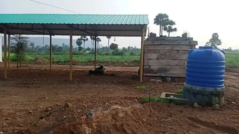 Arulmigu Malligarjunaswamy And Vaithiyanathaswamy Temple, Guttappatti - 636453 Arulmigu Malligarjunaswamy And Vaithiyanathaswamy Temple, Guttappatti - 636453, Salem - Ancient Temple Architecture and History Image 4