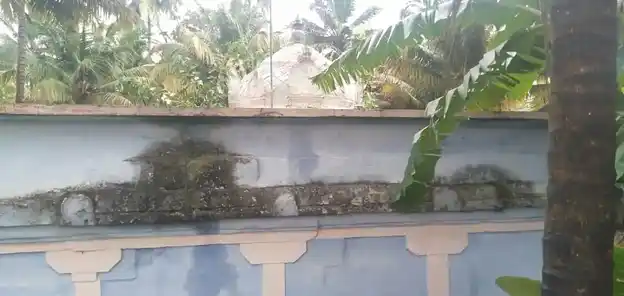 Arulmigu Mallikeswarathu Mahadevar Temple, Near Govt. Middle School, Kalpadi - 629253