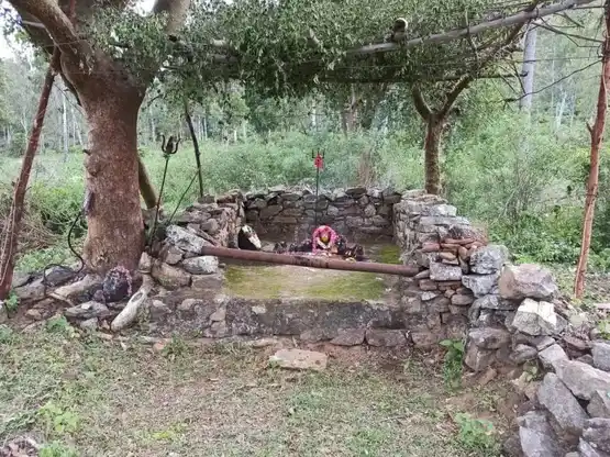 Arulmigu Mamagathuamman Temple, Dhali - 642112 அருள்மிகு மாமாங்கத்தம்மன் திருக்கோயில், Dhali - 642112, Tiruppur - Ancient Temple Architecture and History Image 2