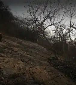 Arulmigu Mamangavinayagar Temple, Ekkatampalayam, Ekkatampalayam - 638051 Temple