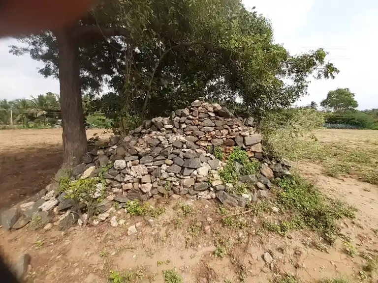 Arulmigu Manalandha Perumal Temple, Munduvalampatti - 644674 அருள்மிகு மண்அளந்த பெருமாள் திருக்கோயில், முண்டுவேலம்பட்டி - 644674, Tiruppur - Ancient Temple Architecture and History Image 2