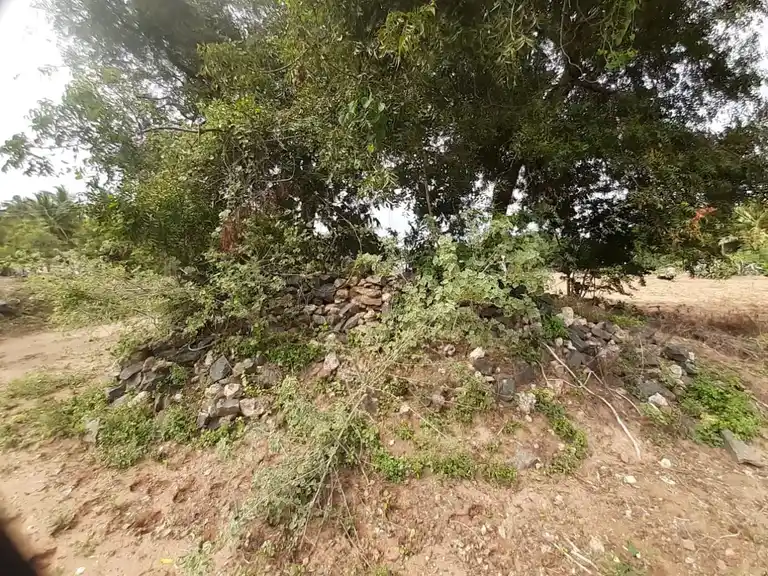 Arulmigu Manalandha Perumal Temple, Munduvalampatti - 644674 அருள்மிகு மண்அளந்த பெருமாள் திருக்கோயில், முண்டுவேலம்பட்டி - 644674, Tiruppur - Ancient Temple Architecture and History Image 3