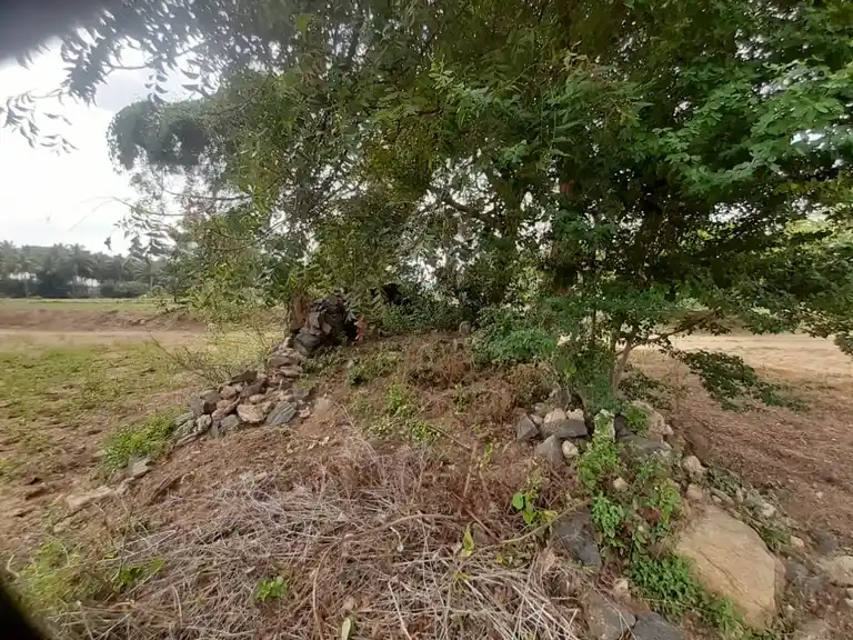 Arulmigu Manalandha Perumal Temple, Munduvalampatti - 644674 அருள்மிகு மண்அளந்த பெருமாள் திருக்கோயில், முண்டுவேலம்பட்டி - 644674, Tiruppur - Ancient Temple Architecture and History Image 4