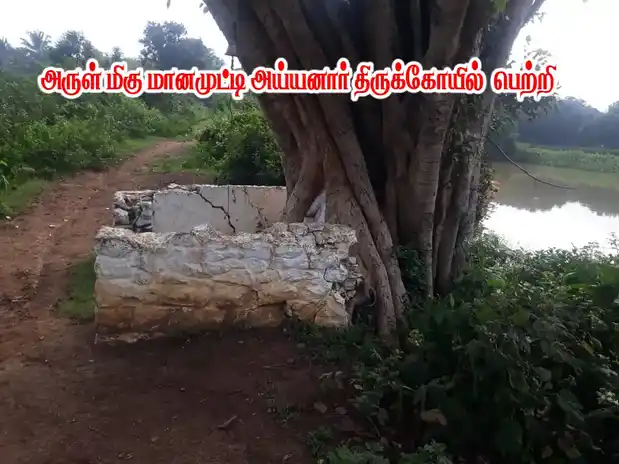 Arulmigu Manamuthayyanar Temple, Shenkottai - 627809 Arulmigu Manamuthayyanar Temple, Shenkottai - 627809, Tenkasi - Ancient Temple Architecture and History Image 3