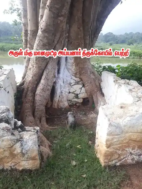 Arulmigu Manamuthayyanar Temple, Shenkottai - 627809 Arulmigu Manamuthayyanar Temple, Shenkottai - 627809, Tenkasi - Ancient Temple Architecture and History Image 4